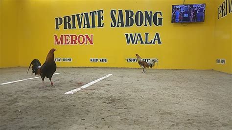 sabong pinoy derby|4 Cock Derby Finals .